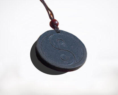 Quantum Scalar Energy Pendant Necklace – Project Yourself